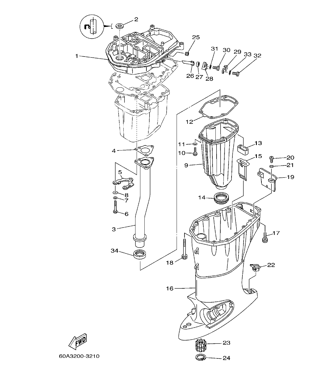 F50DET'04 – section 21 UPPER CASING FUNDA SUPERIOR parts diagram