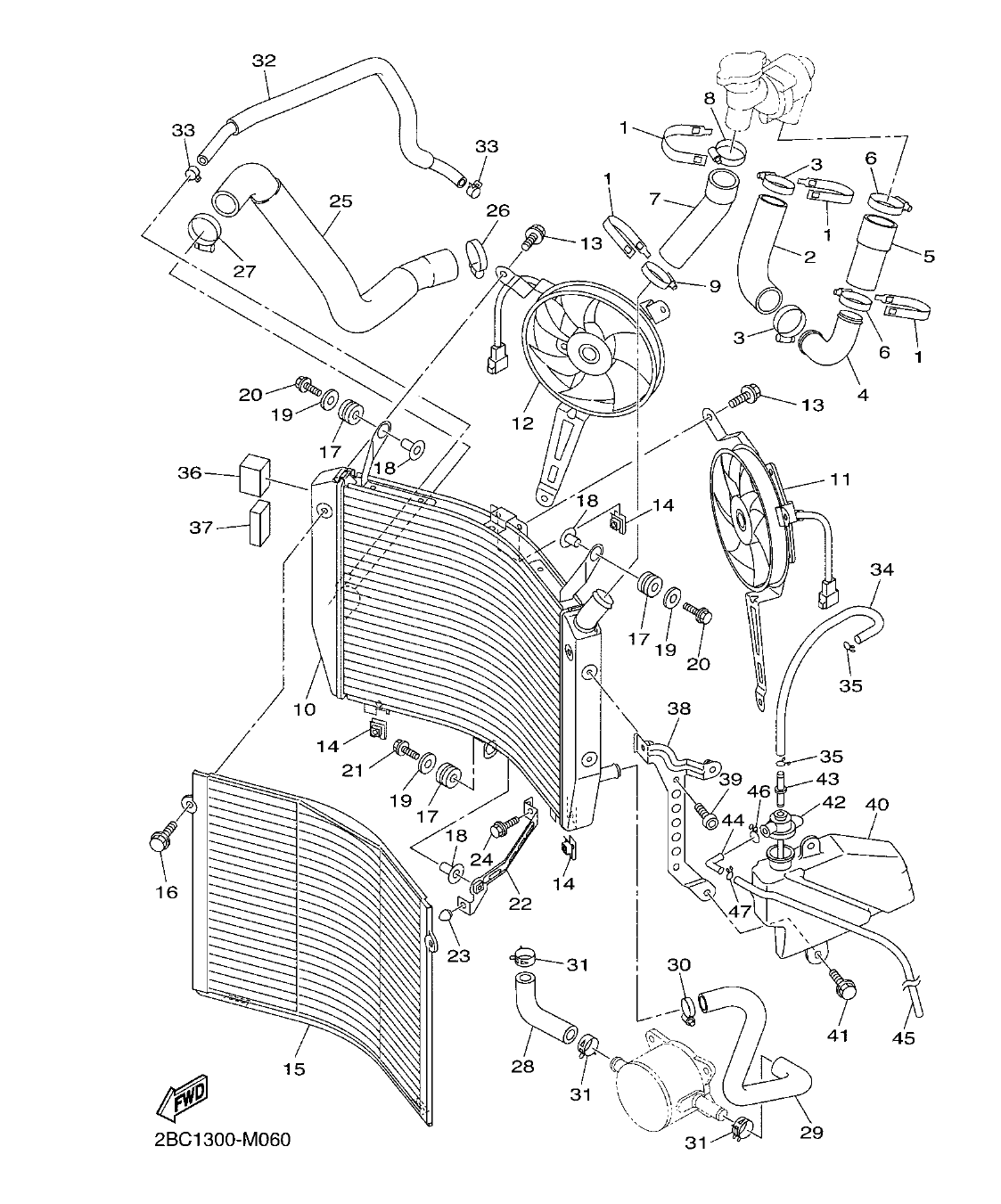 Fig. 6 – RADIATOR & HOSE diagram