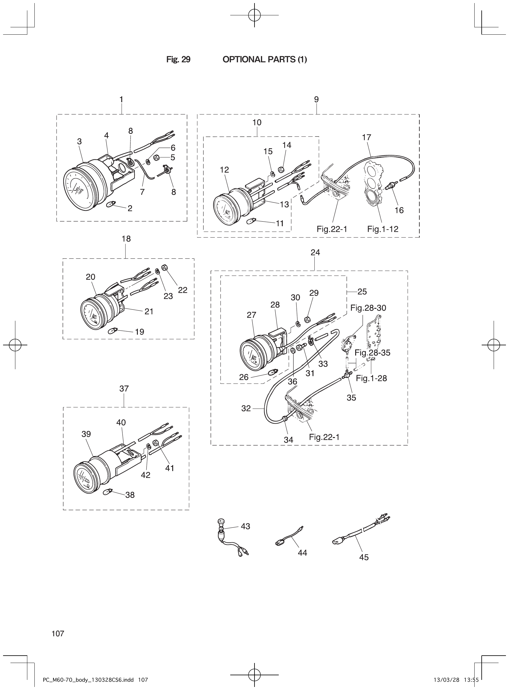 Fig. 29 – OPTIONAL PARTS (1) diagram