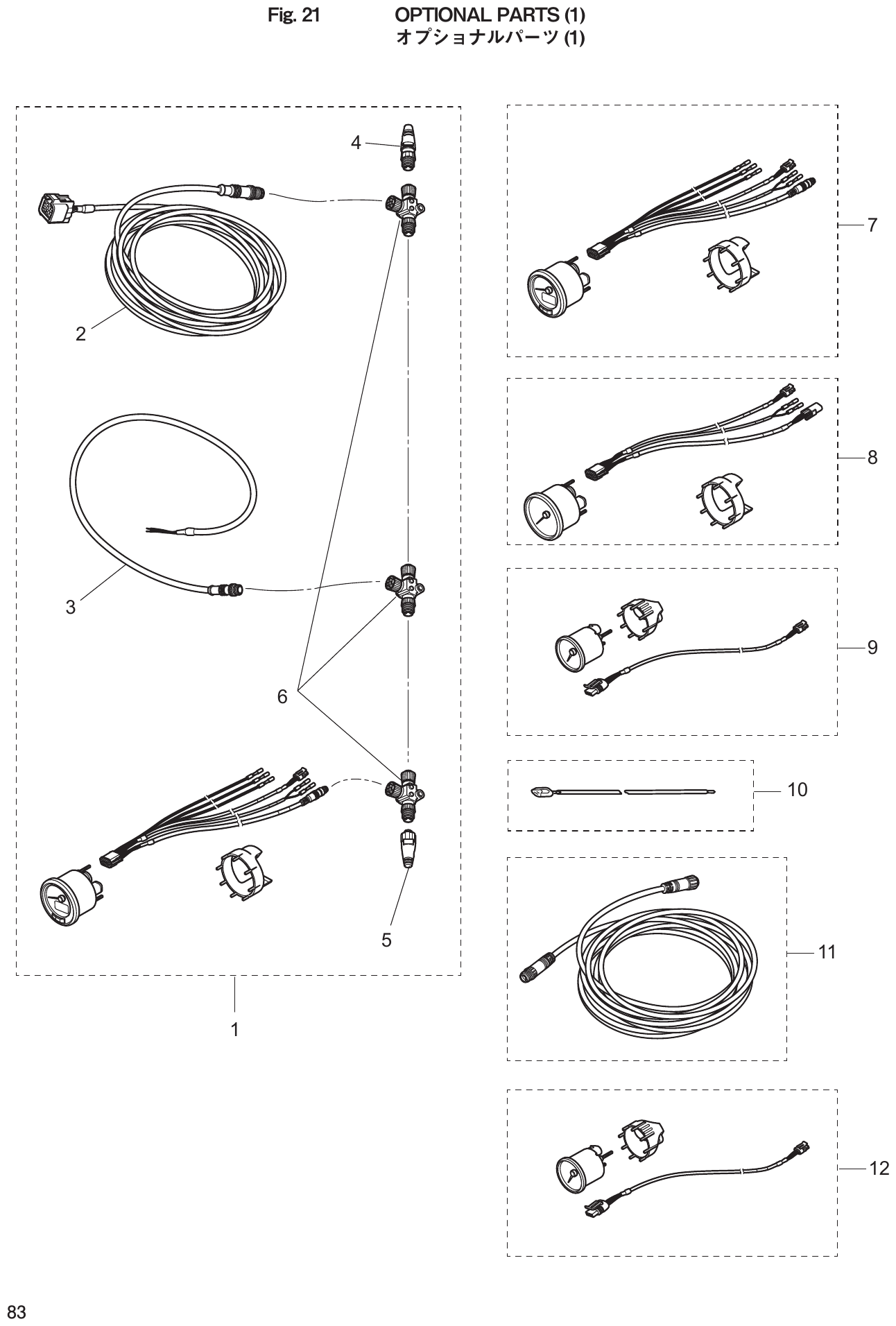 Fig. 21 – OPTIONAL PARTS (1) diagram