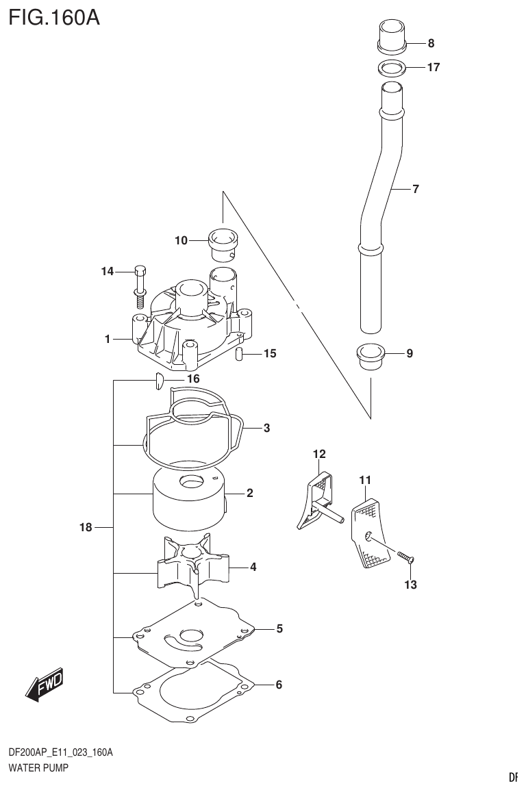 Suzuki DF200AP, DF175AP, DF150AP WATER PUMP (E01,E03,E11) parts diagram