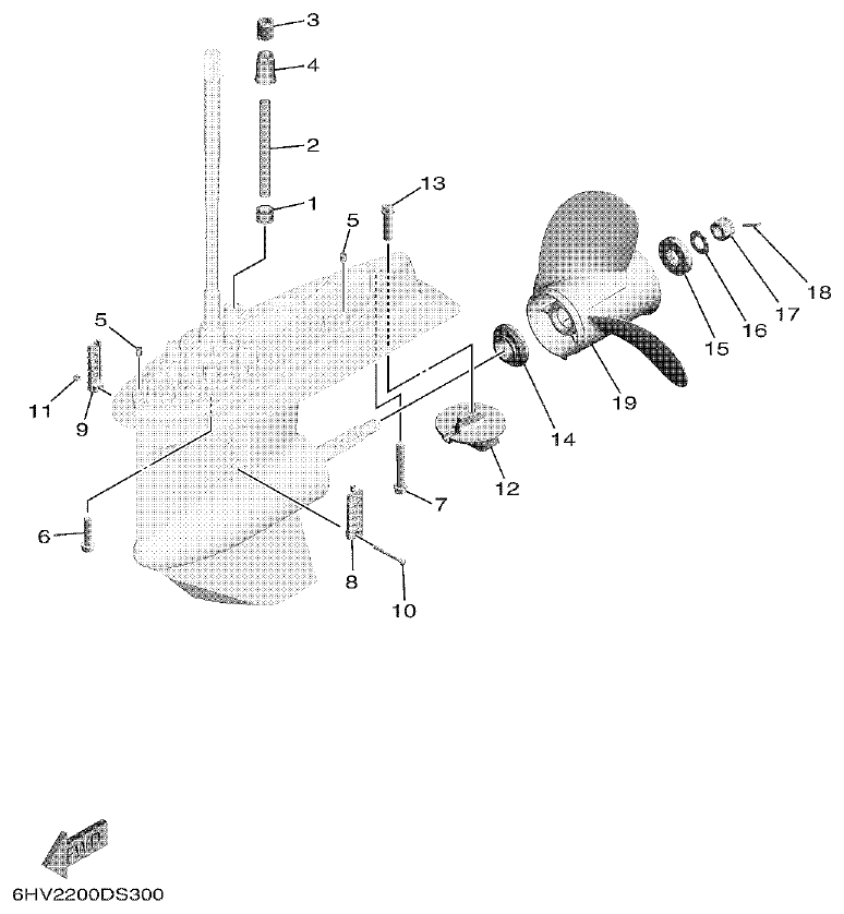 Yamaha F75F, F100G LOWER CASING & DRIVE 2 parts diagram