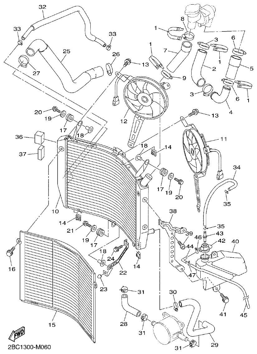 Yamaha FJR1300AP RADIATOR & HOSE parts diagram