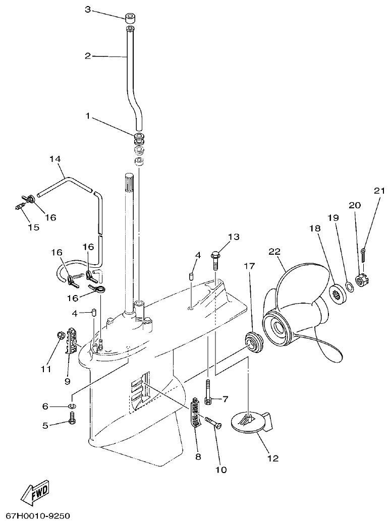 Yamaha 225DETO LOWER CASING & DRIVE 2 parts diagram
