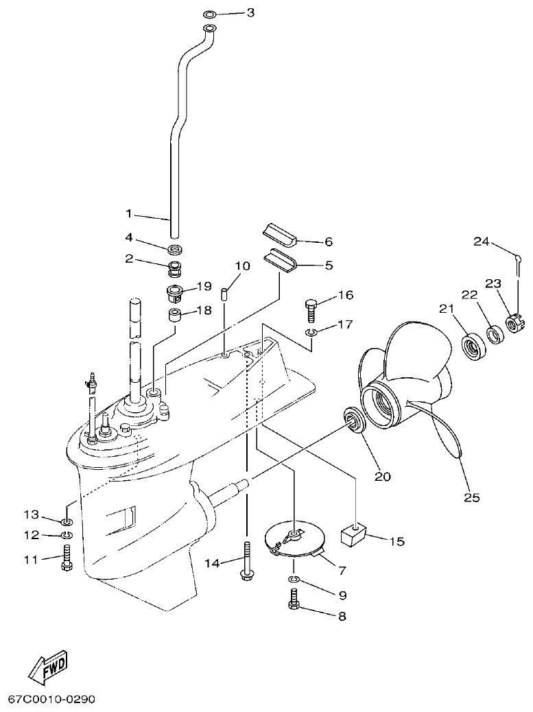 Yamaha F30A, F40B LOWER CASING. DRIVE 2 parts diagram