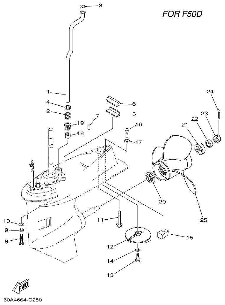 Yamaha F50D, FT50C LOWER CASING & DRIVE 2 parts diagram