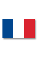 10937 French Flag 20 x 30cm