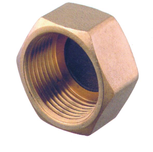 96216 Female Plug, Brass, 1''