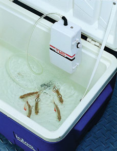 99807 Watertight air pumps, DC 3V