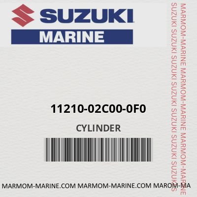 11210-02c00-0f0 CYLINDER