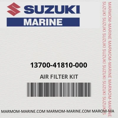 13700-41810-000 AIR FILTER KIT