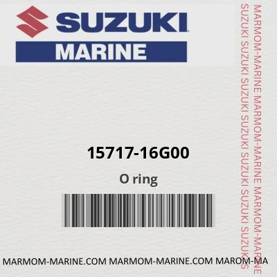 15717-16g00 O ring