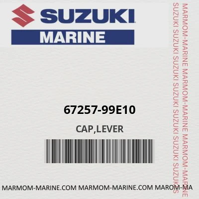 67257-99e10 CAP,LEVER