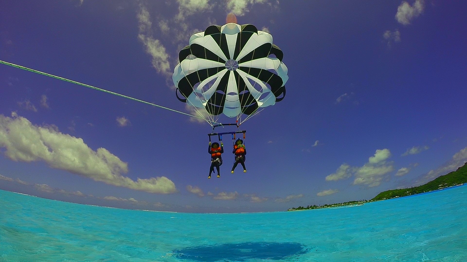 Waterbird super-trade-32-spectra-ht - Super Trade 32