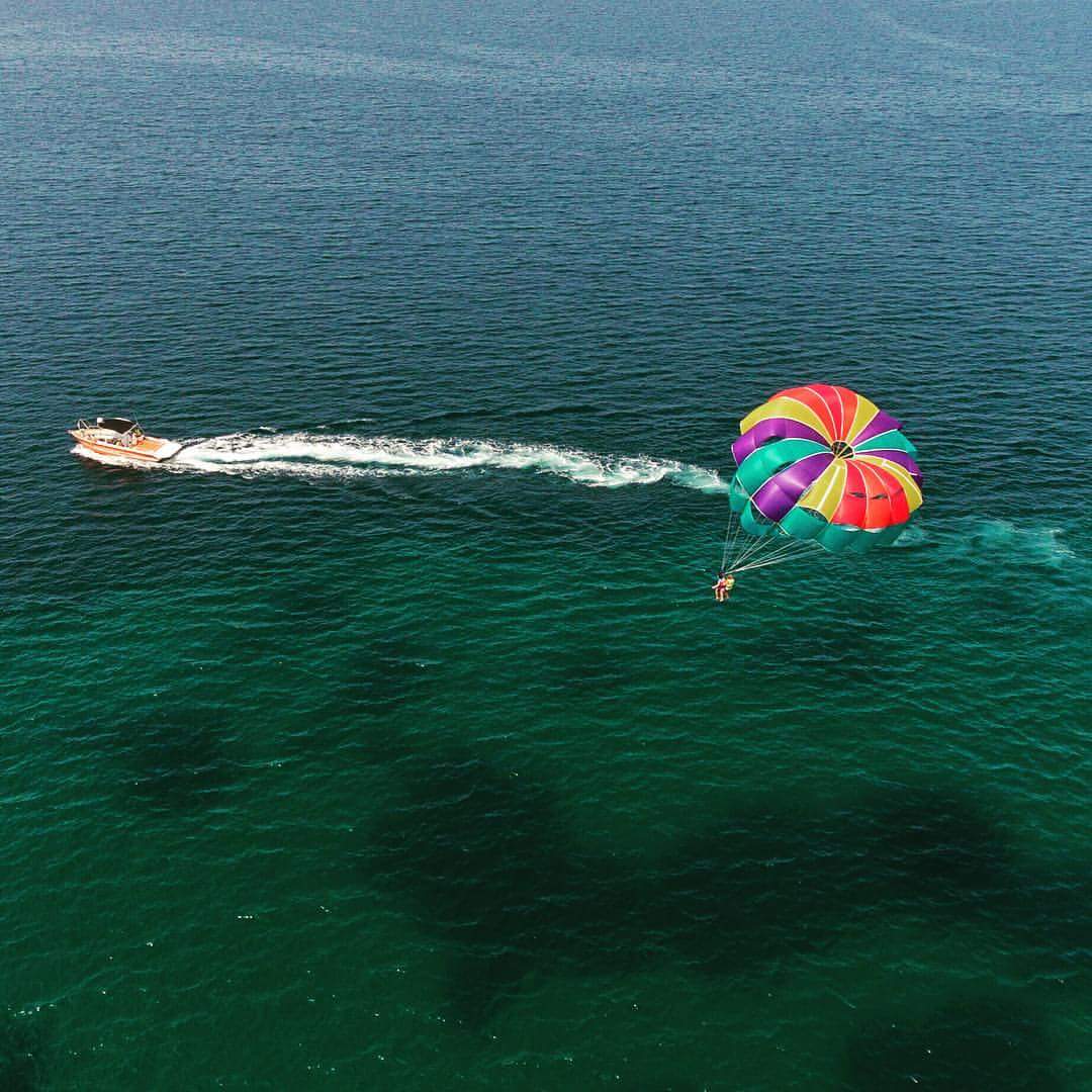 Waterbird super-trade-39--spectra-ht - SUPER TRADE 39