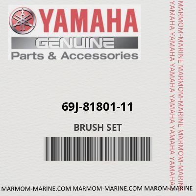69j-81801-11 BRUSH SET