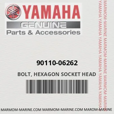 90110-06262 BOLT, HEXAGON SOCKET HEAD