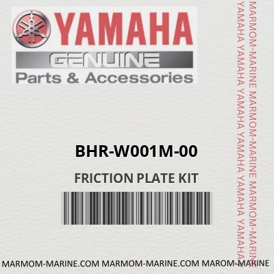 bhr-w001m-00 FRICTION PLATE KIT