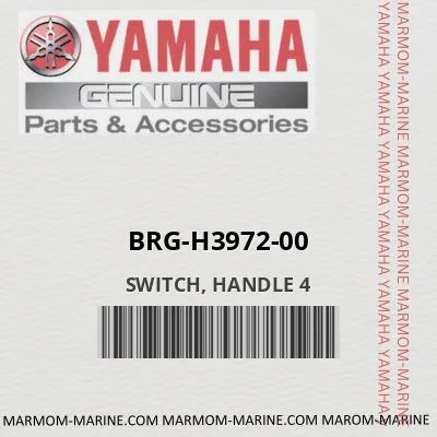 brg-h3972-00 SWITCH, HANDLE 4