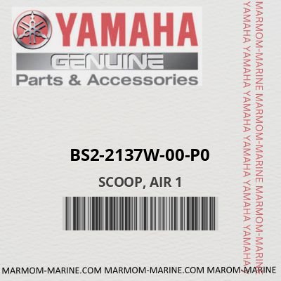 bs2-2137w-00-p0 SCOOP, AIR 1