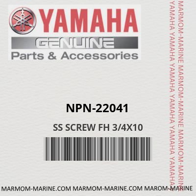 npn-22041 SS SCREW FH 3/4X10