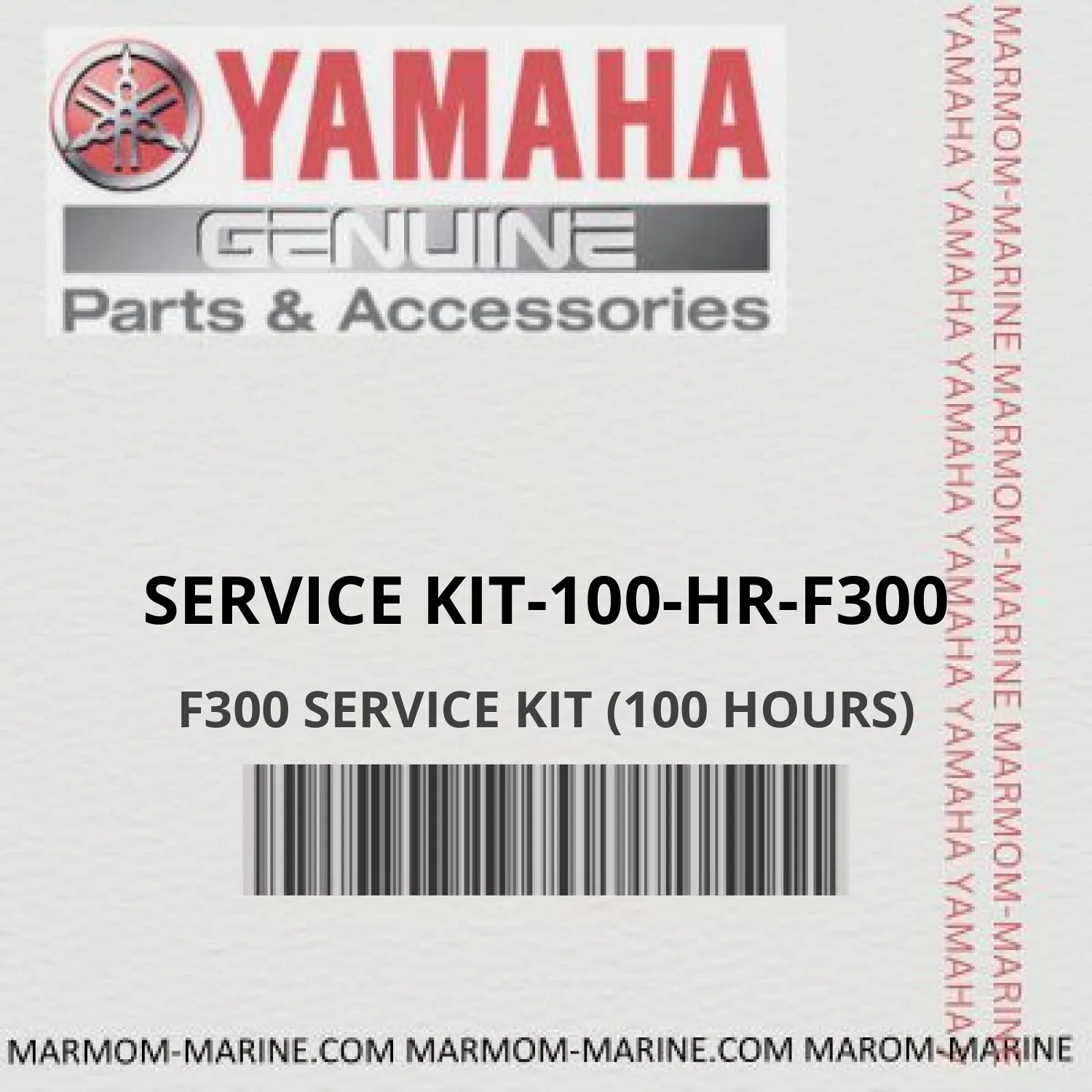 service kit-100-hr-f300 F300 SERVICE KIT (100 HOURS)