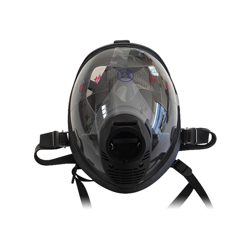 lalizas 02253 Breathing apparatus facemask