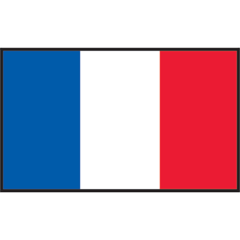 French Flag 20 x 30cm