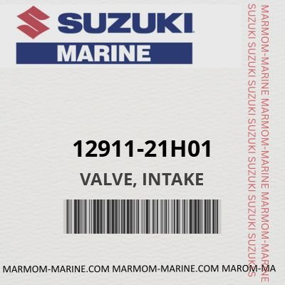 12911-21H01