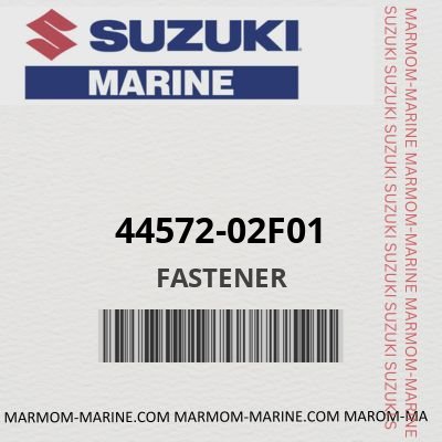 44572-02F01