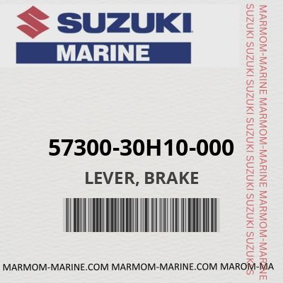 57300-30H10-000