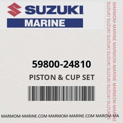 59800-24810 - PISTON & CUP SET