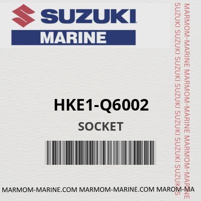HKE1-Q6002