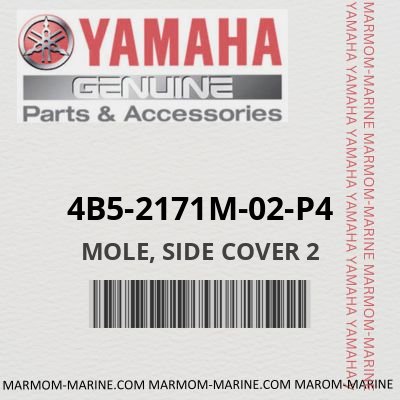 4B5-2171M-02-P4