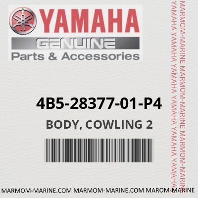 4B5-28377-01-P4