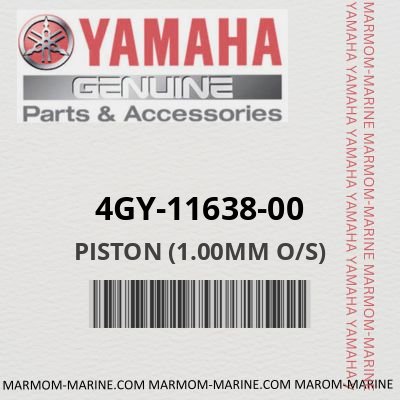 4GY-11638-00