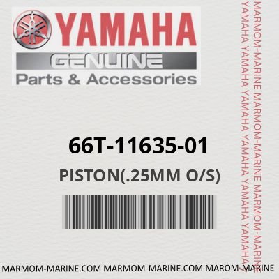 66T-11635-01