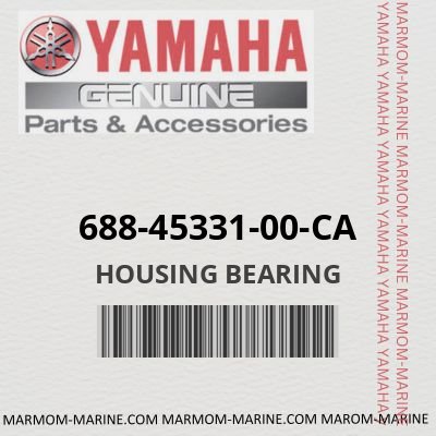 688-45331-00-CA