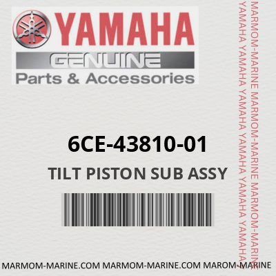 6CE-43810-01