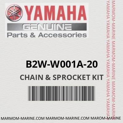 B2W-W001A-20