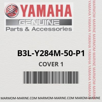 B3L-Y284M-50-P1