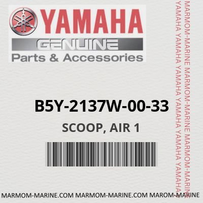 B5Y-2137W-00-33