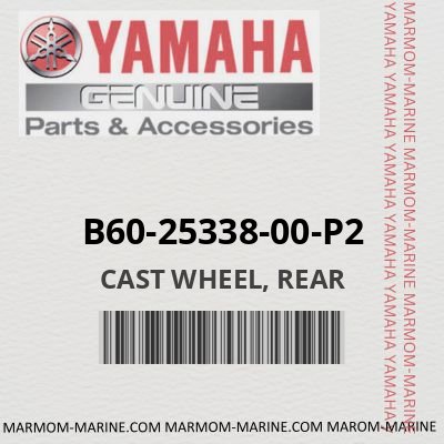 B60-25338-00-P2