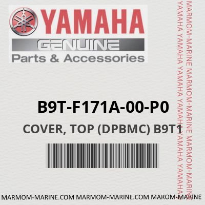 B9T-F171A-00-P0