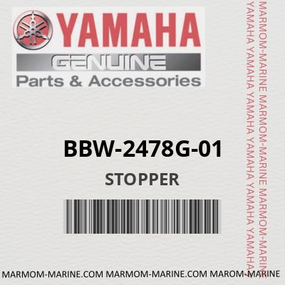 BBW-2478G-01