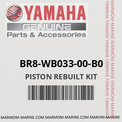 PISTON REBUILT KIT (BR8-WB033-00-B0)