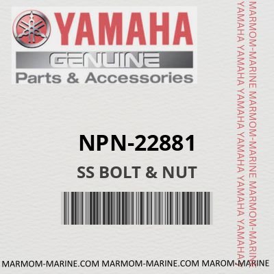 NPN-22881